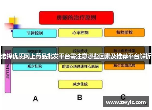 选择优质网上药品批发平台需注意哪些因素及推荐平台解析