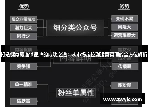 打造健身房连锁品牌的成功之道：从市场定位到运营管理的全方位解析