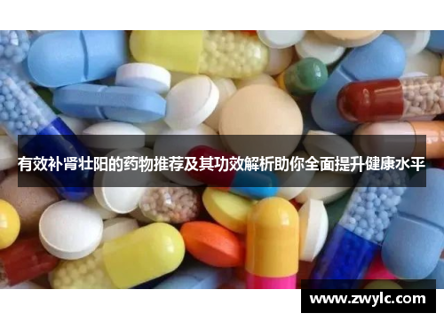 有效补肾壮阳的药物推荐及其功效解析助你全面提升健康水平