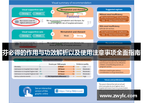芬必得的作用与功效解析以及使用注意事项全面指南