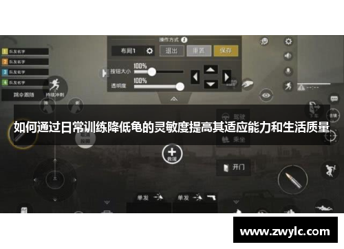 如何通过日常训练降低龟的灵敏度提高其适应能力和生活质量