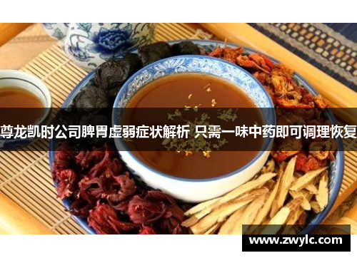 尊龙凯时公司脾胃虚弱症状解析 只需一味中药即可调理恢复